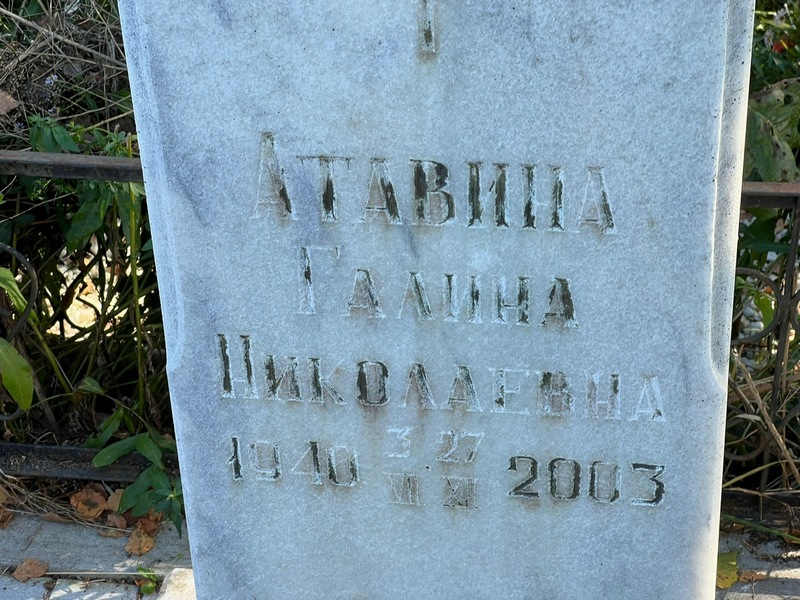 Атавина