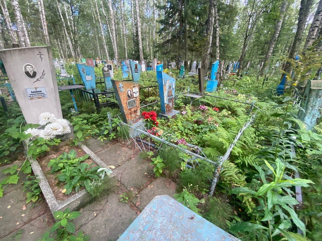 Сенников Николай Николаевич