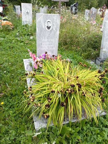 Иовлева Варвара Романовна