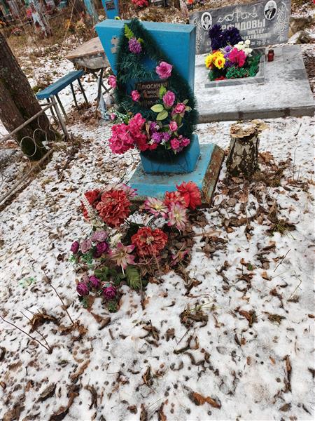 Плюснина Александра Николаевна