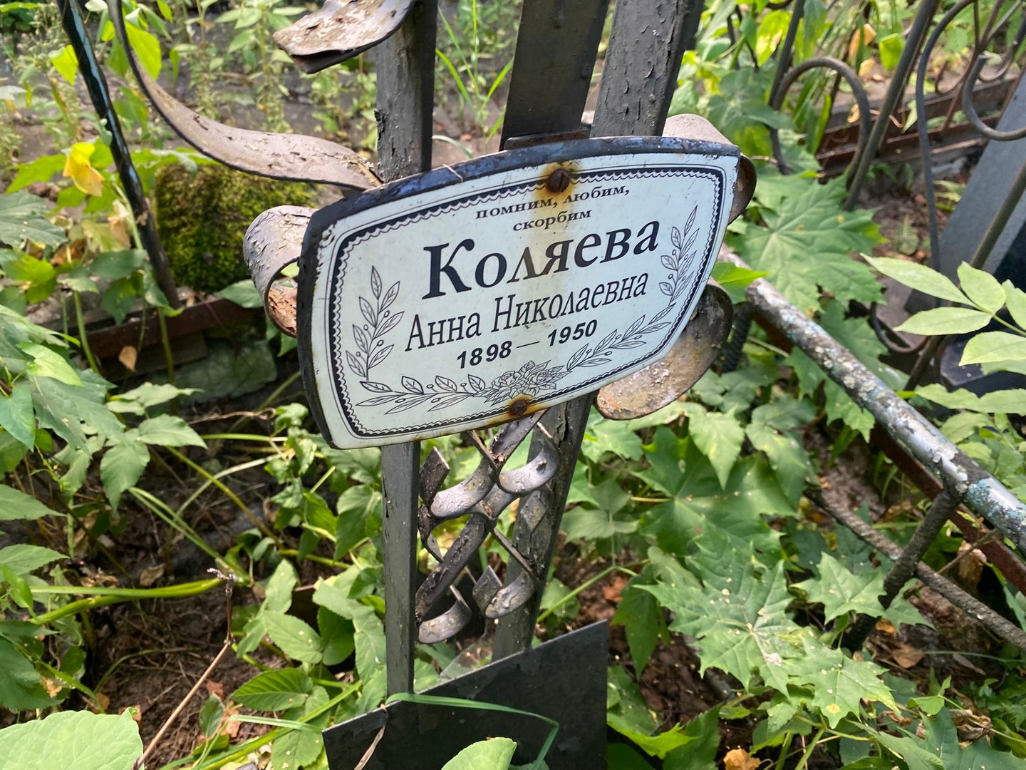Коляева