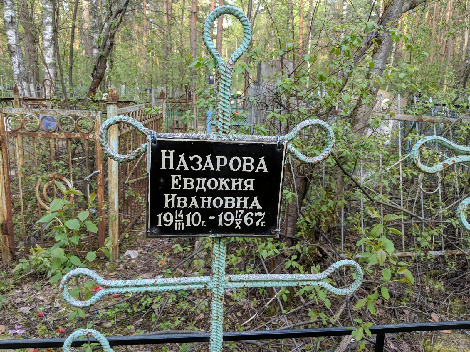 Назарова Евдокия Ивановна