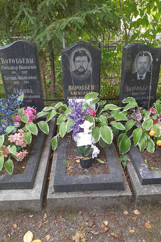Воробьев Александр Яковлевич
