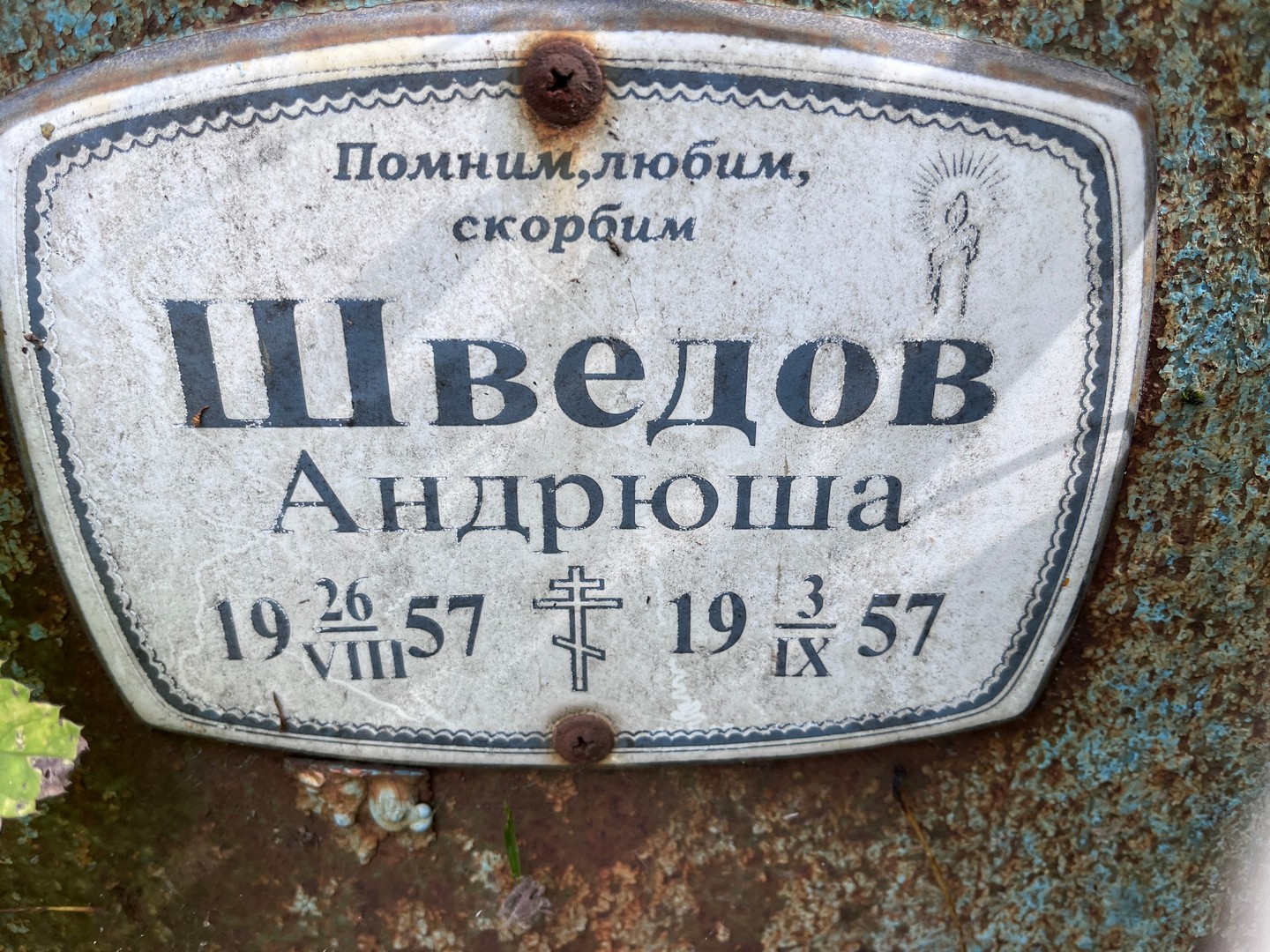 Шведов Шведов