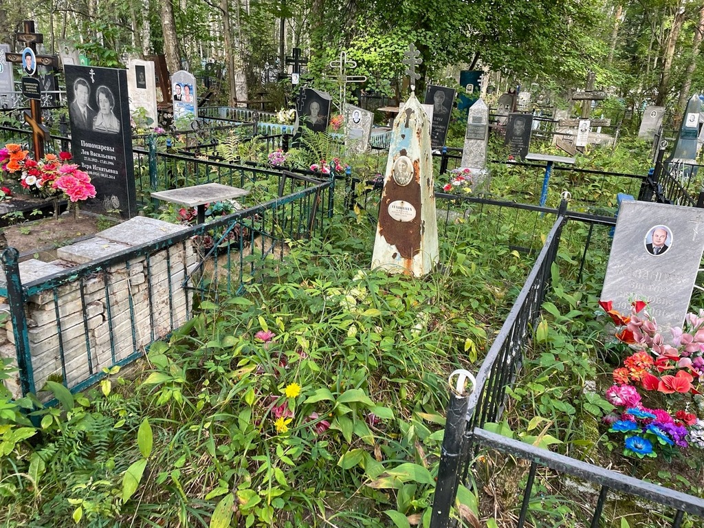 Пашина Дарья Андреевна