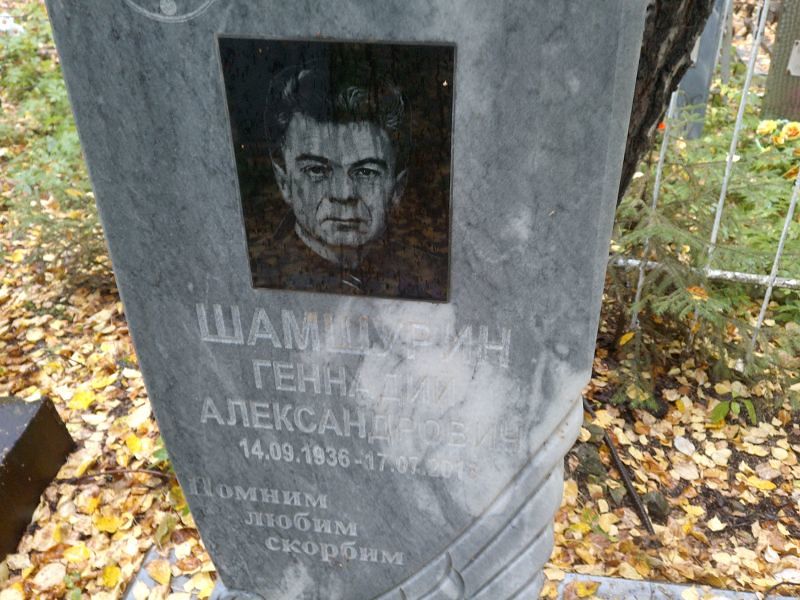 Шамшурин