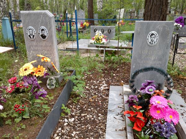 Гоголев Роберт Михайлович