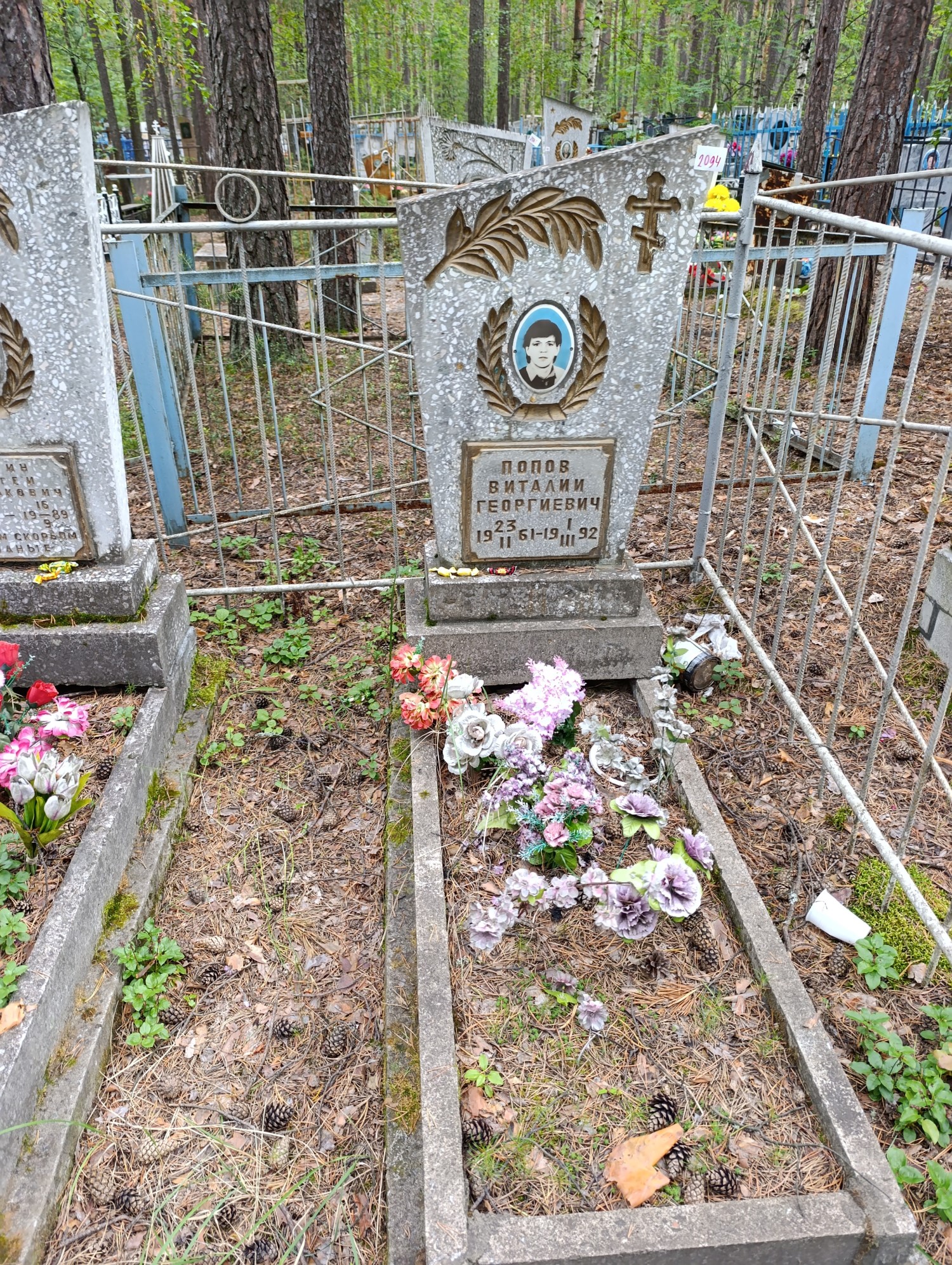 Попов Виталий Георгиевич