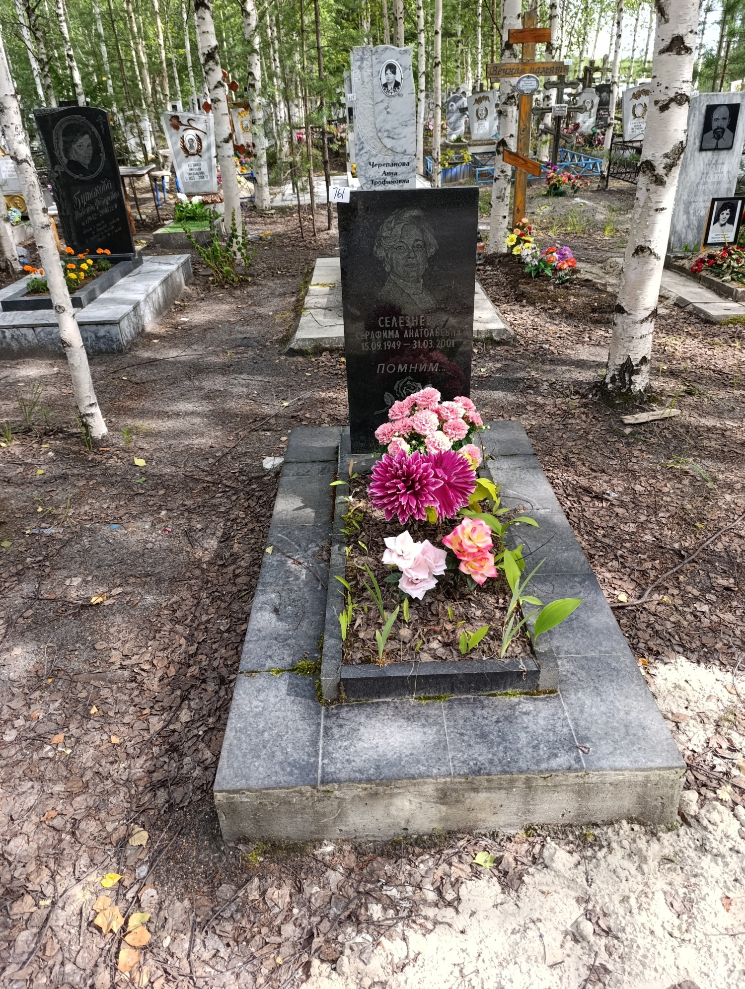 Селезнёва Серафима Анатольевна
