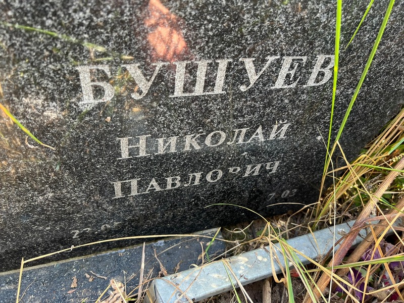 Бушуев