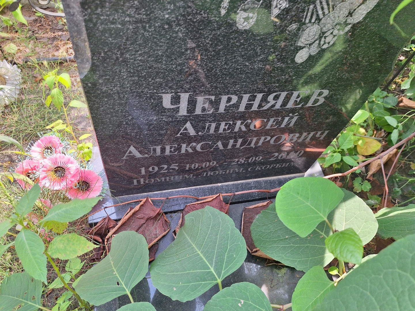 Черняев