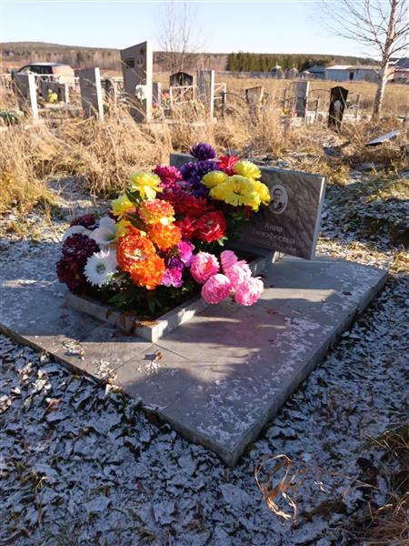 Волегов Александр Иванович