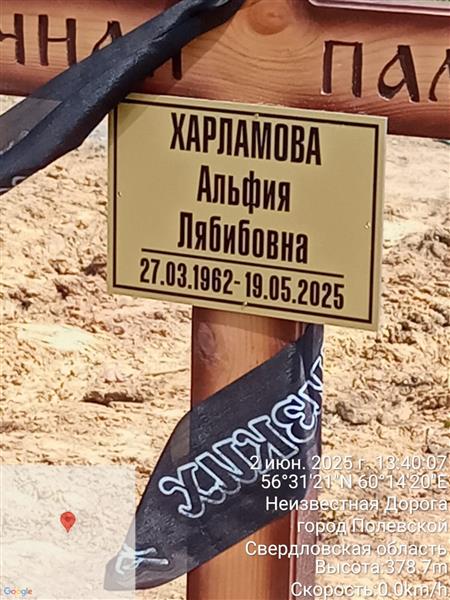 Харламова Альфия Лябибовна