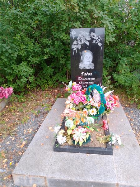Гаёва Елизавета Сергеевна