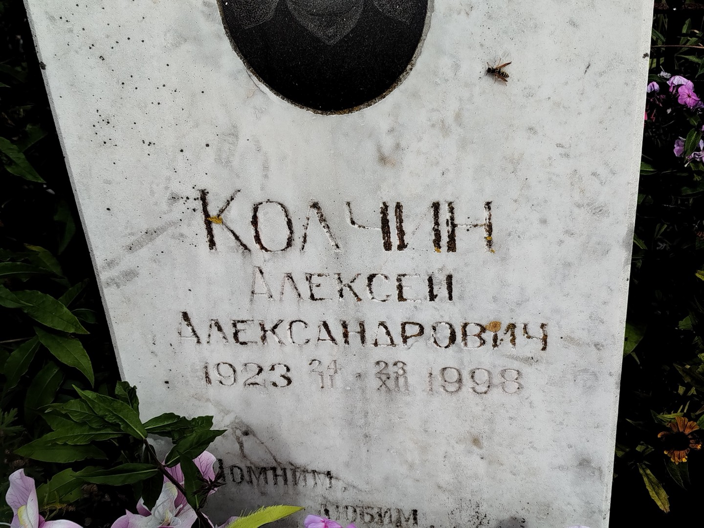Колчин
