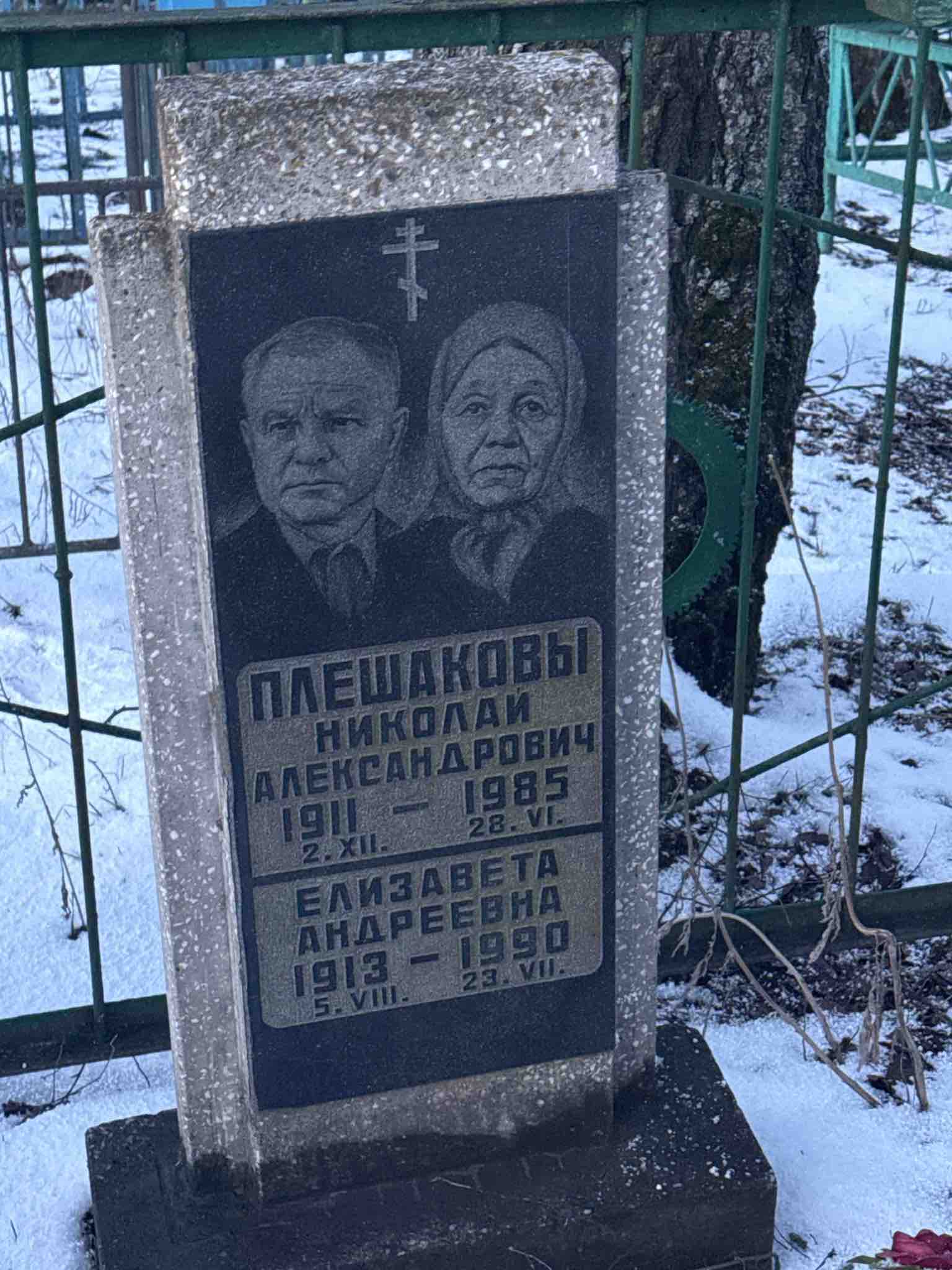Плешаков Николай Александрович