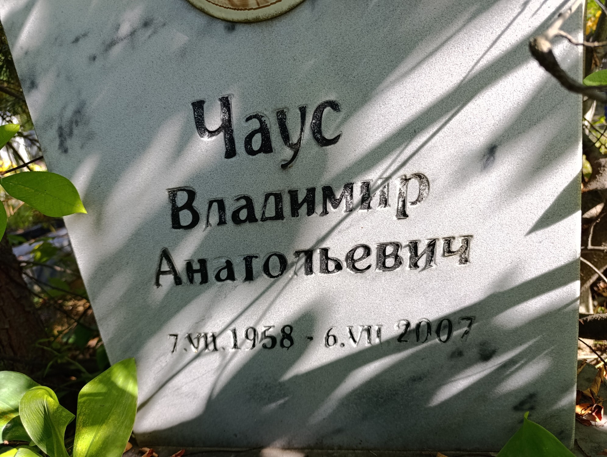 Чаус Владимир Анатольевич