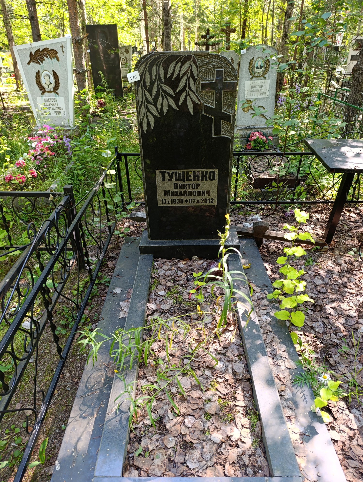 Тущенко Виктор Михайлович