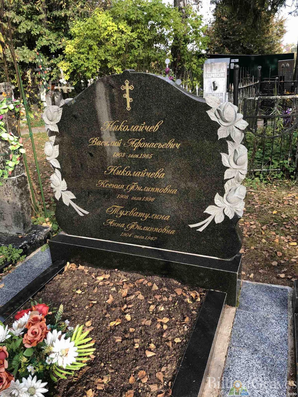 Николайчев Василий Афонасьевич