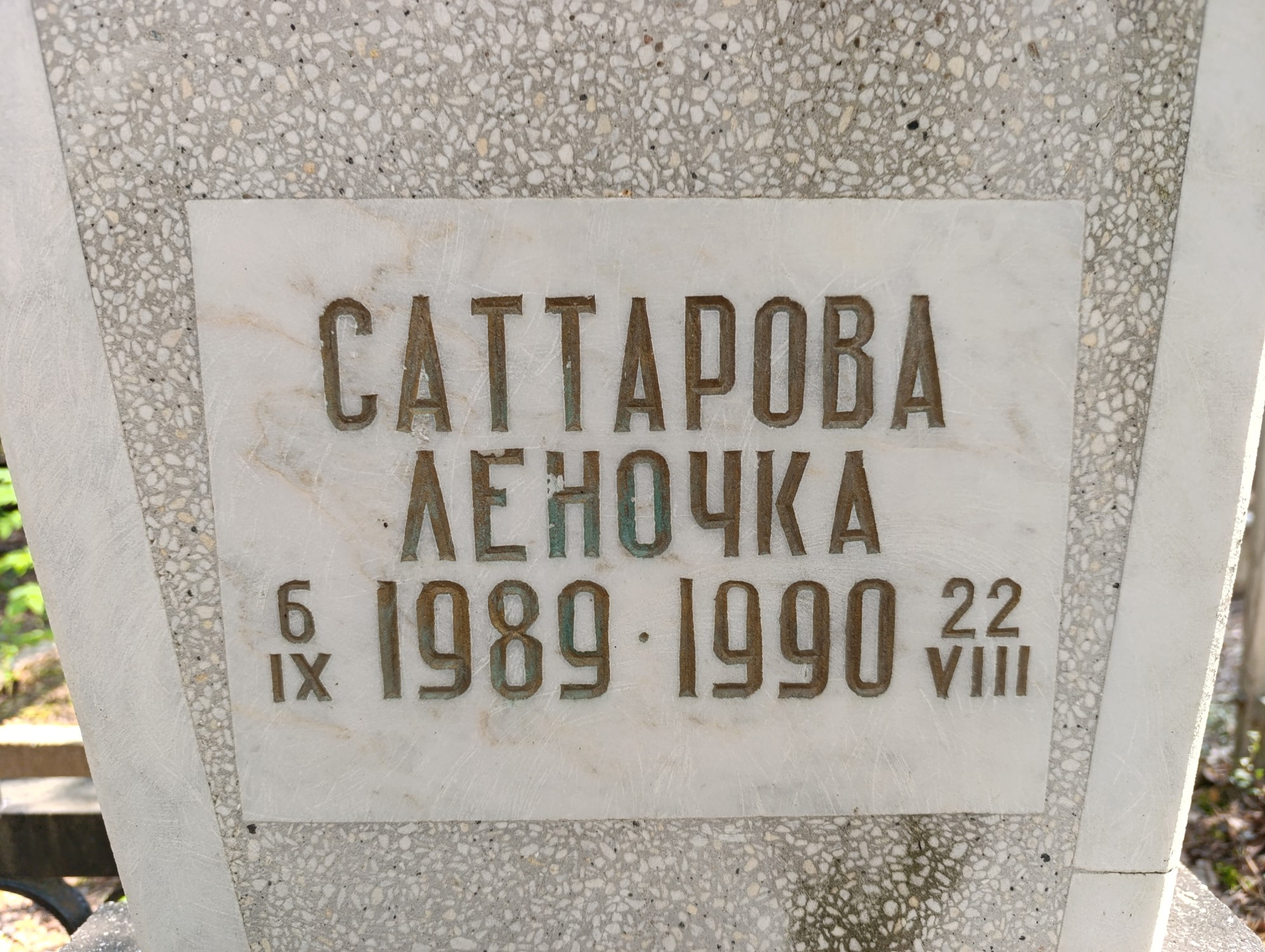 Саттарова Елена