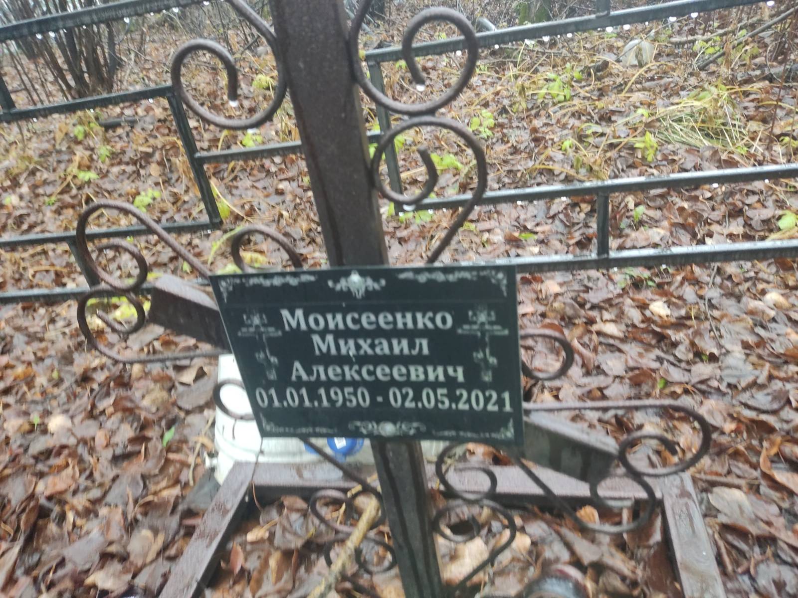 Моисеенко Михаил Алексеевич