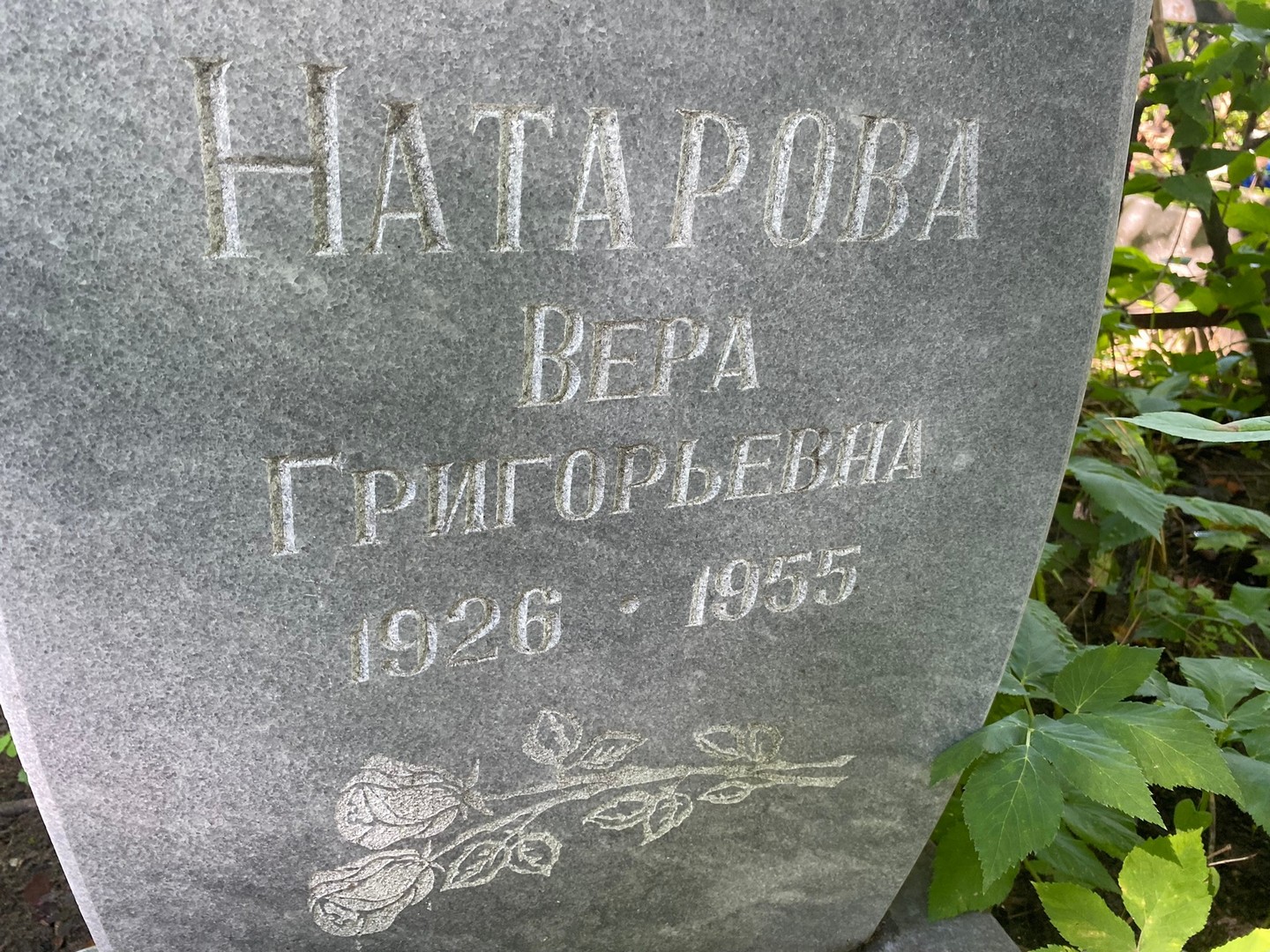 Натарова