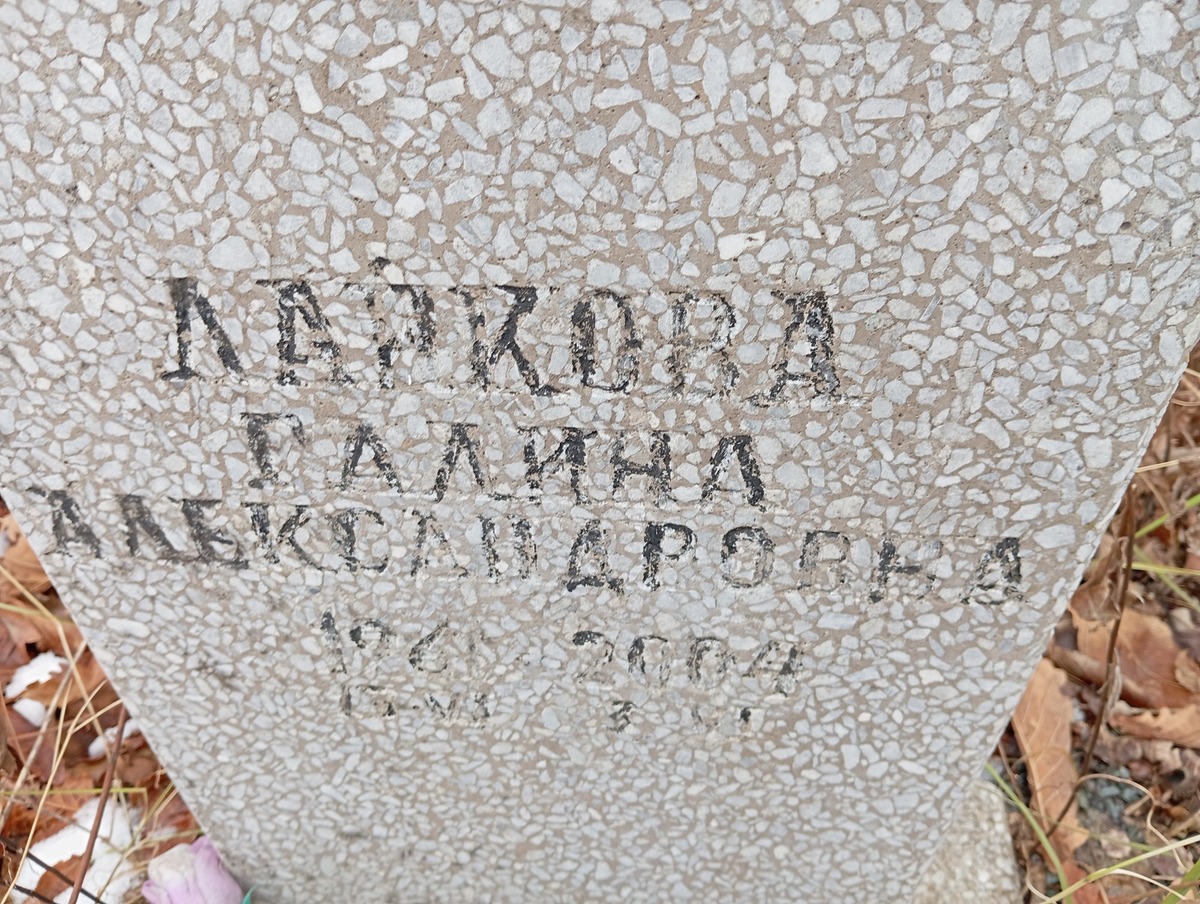 Лайкова Галина Александровна