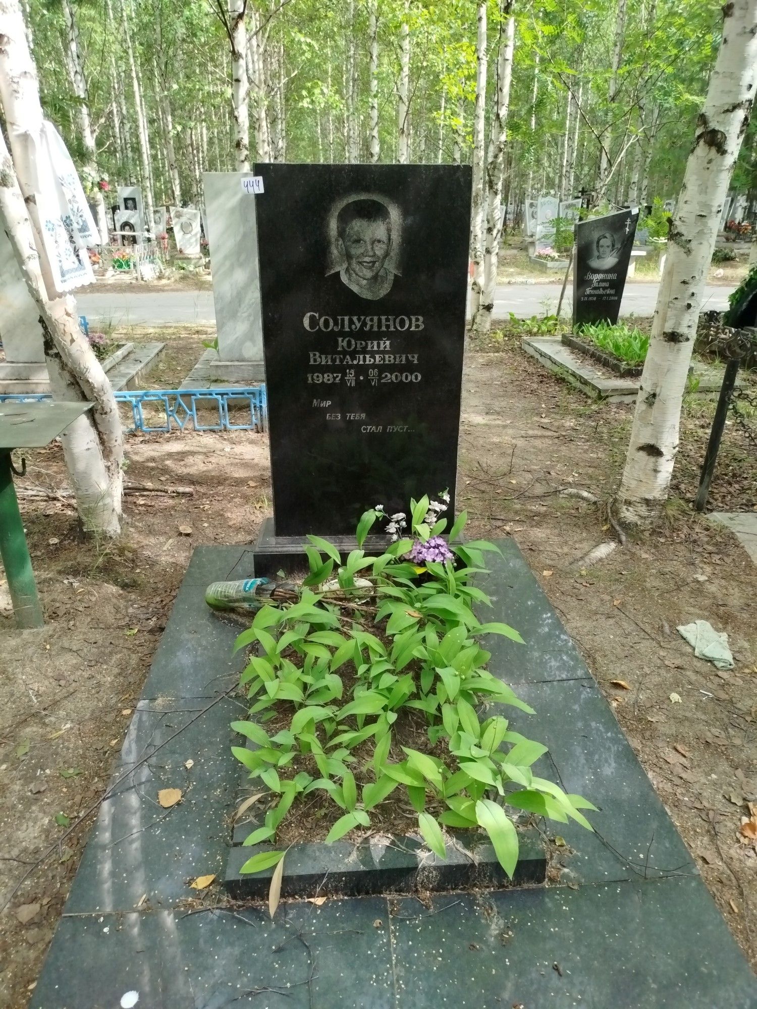 Солуянов Юрий Витальевич