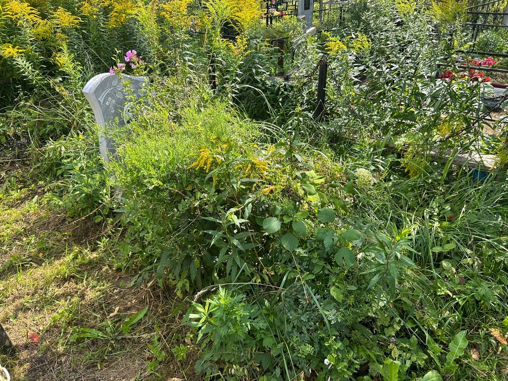 Якушева Мария Ивановна