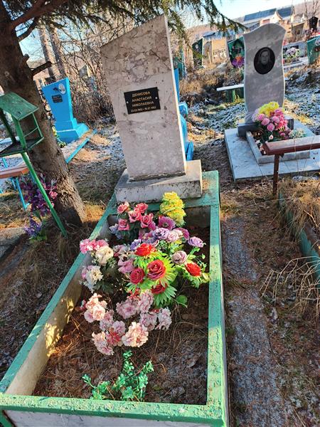 Денисова Анастасия Николаевна