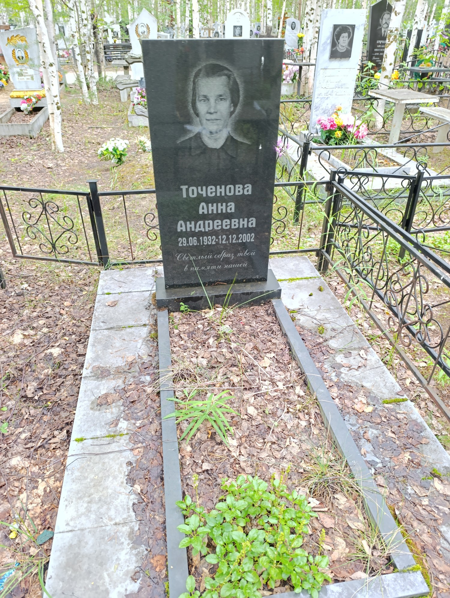 Точенова Анна Андреевна