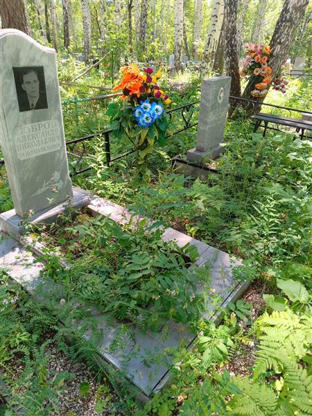 Бобров Александр Николаевич