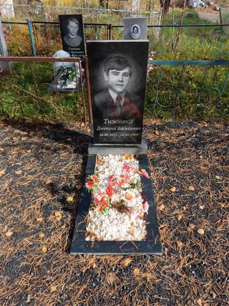 Тижовка Дмитрий Васильевич