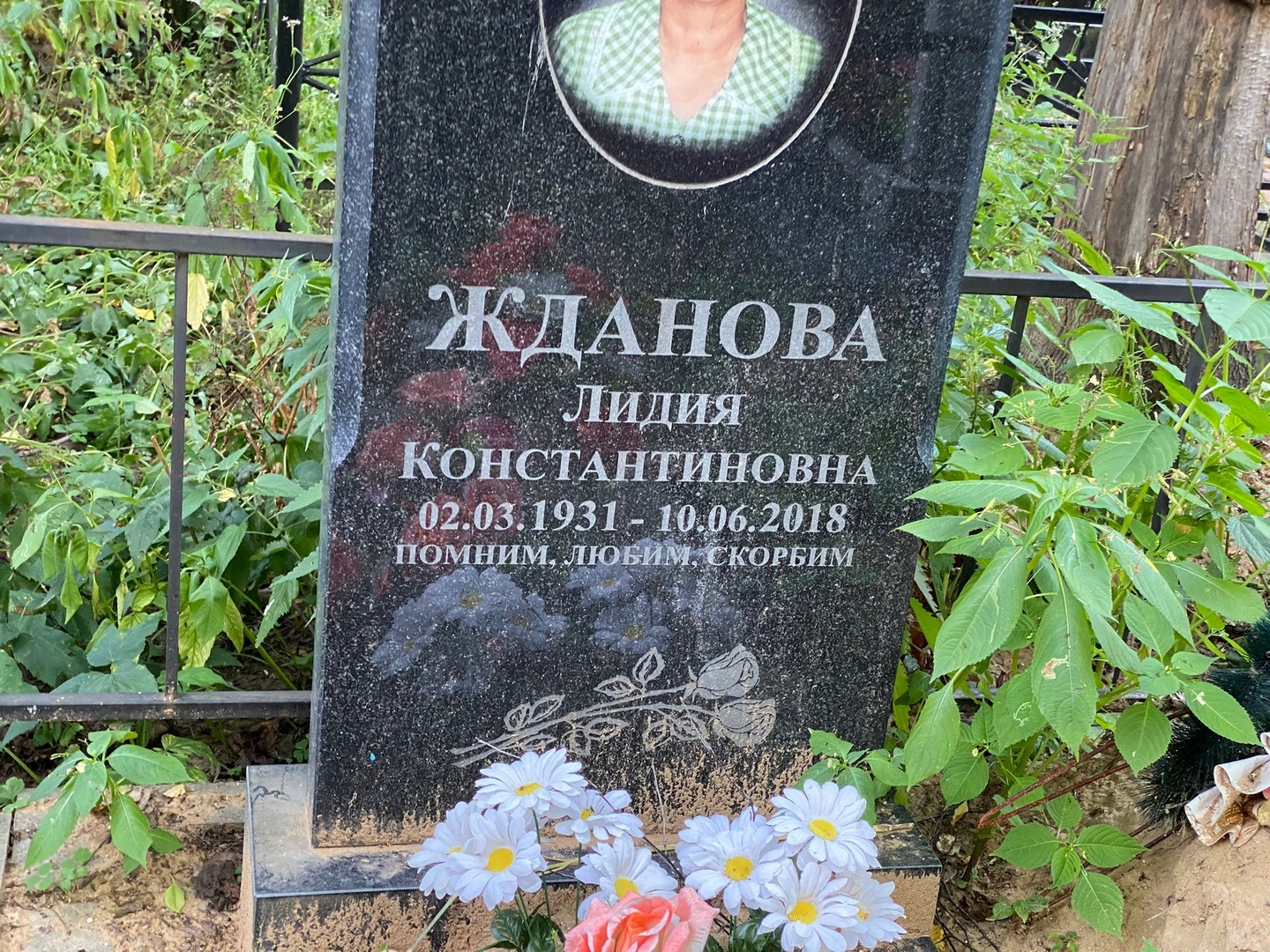 Жданова