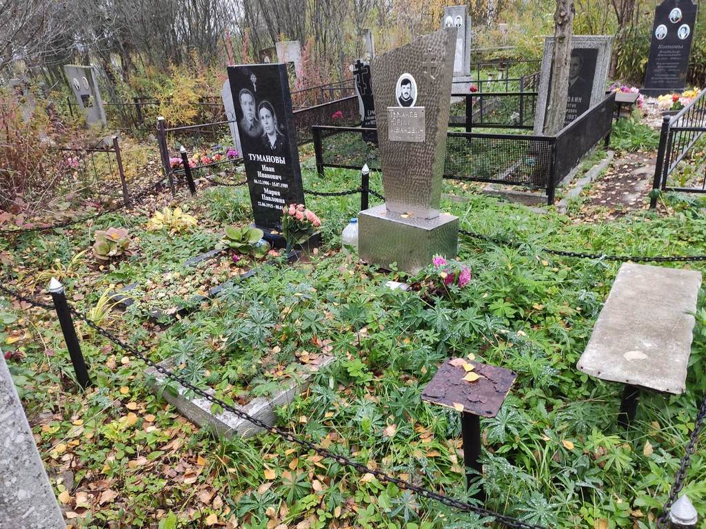 Туманов Юрий Иванович