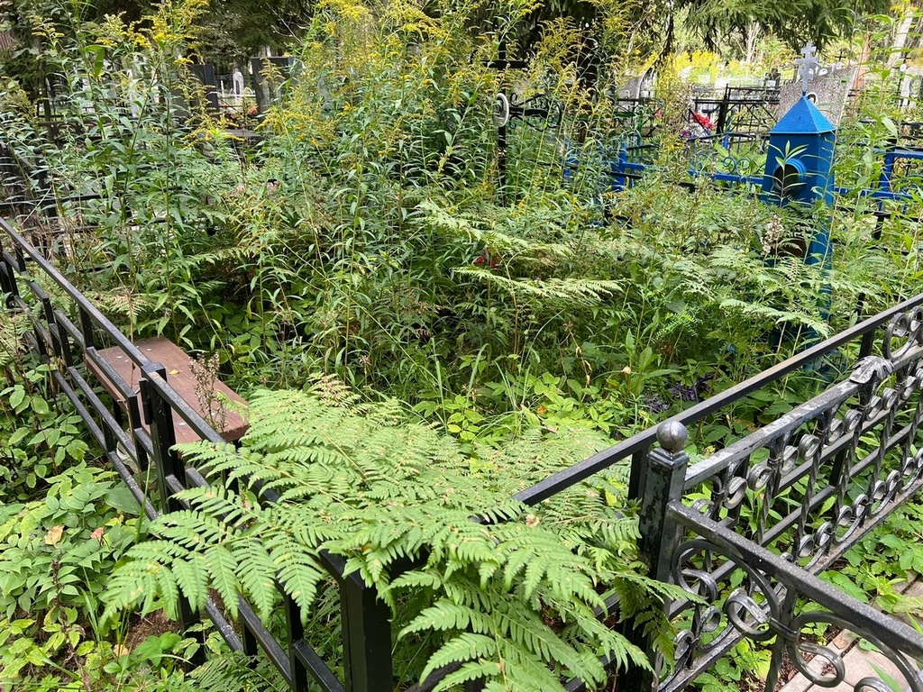 Кузнецова Антонина Васильевна