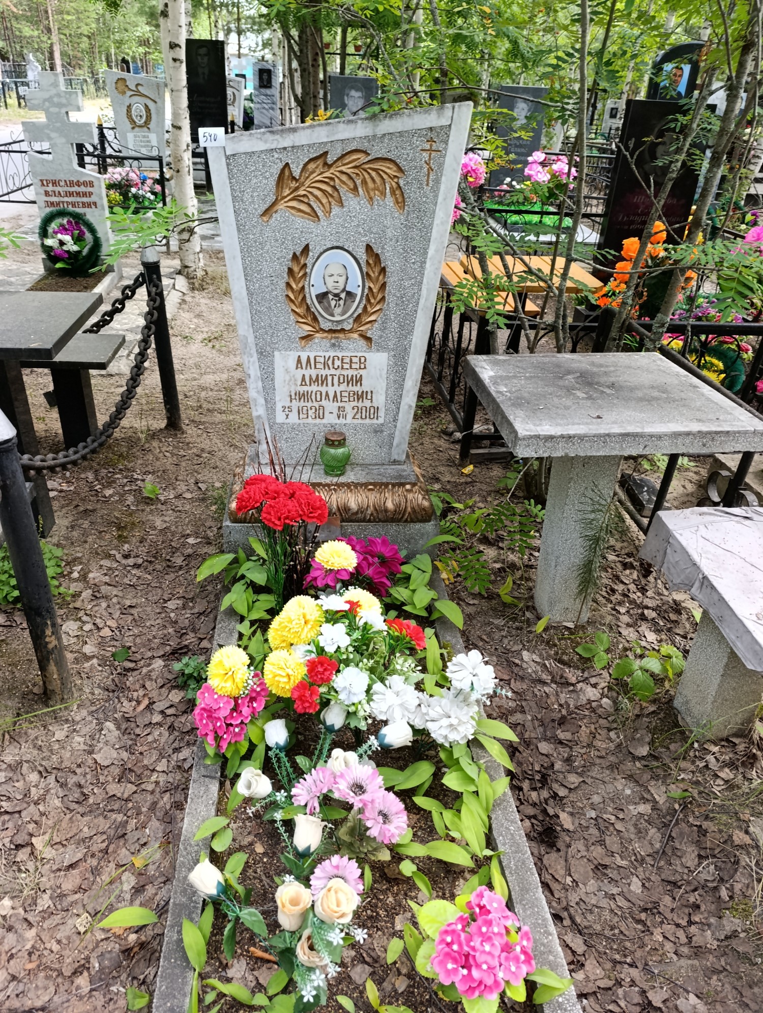 Алексеев Дмитрий Николаевич