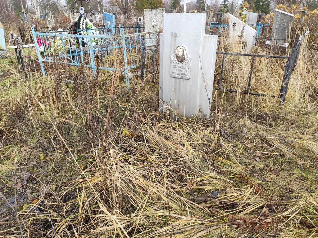 Соколова Анна Ивановна