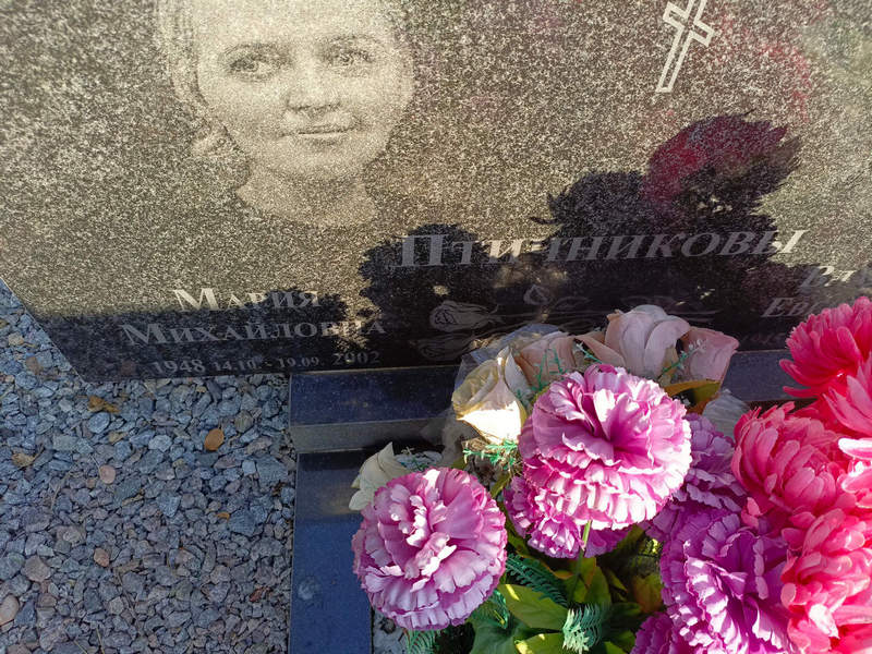 Птичникова