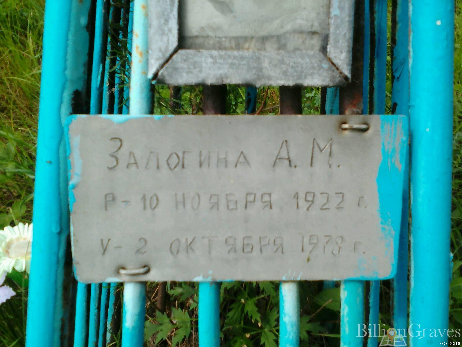 Залогина А.М.
