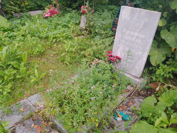 Арапова Евдокия Ивановна