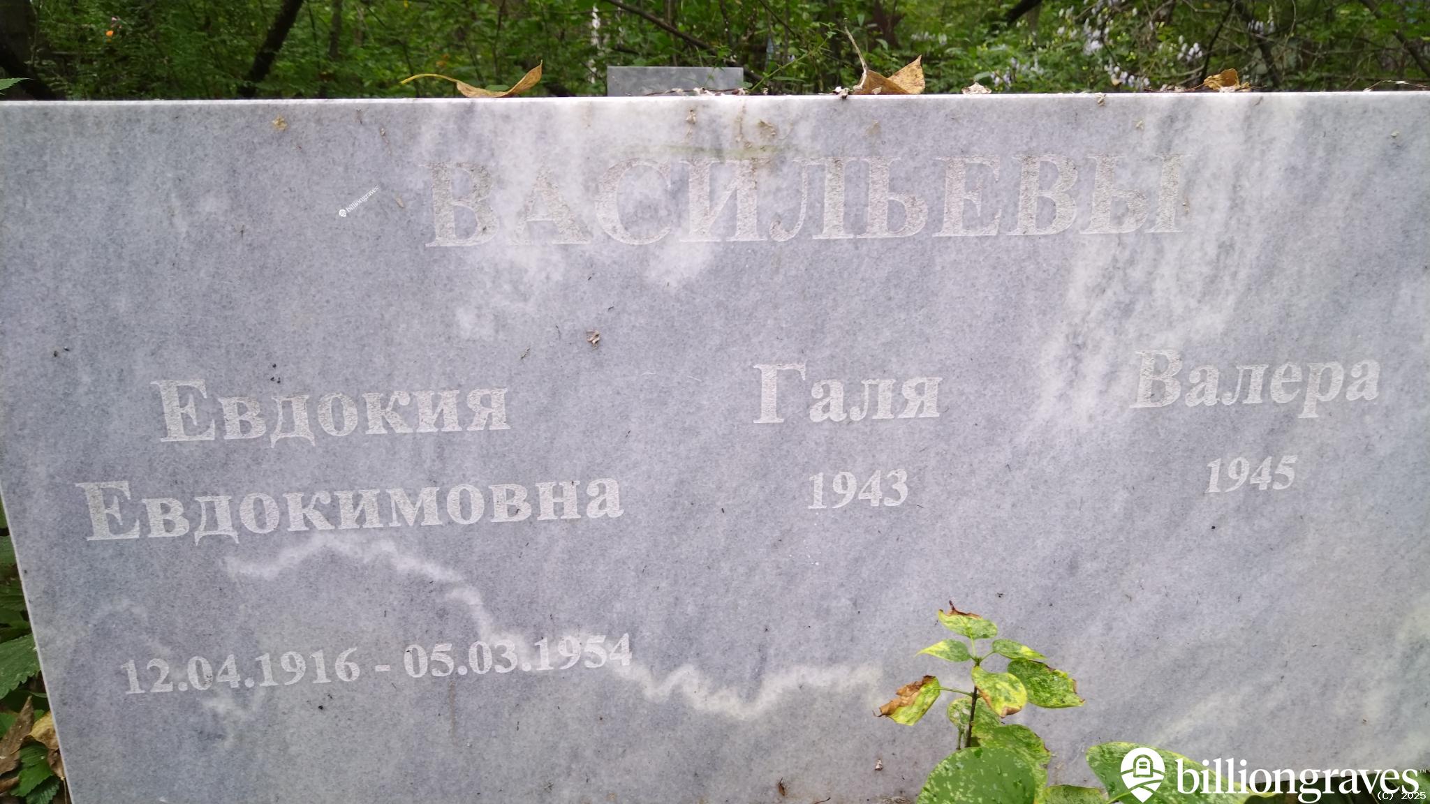 Васильева Евдокия Евдокимовна