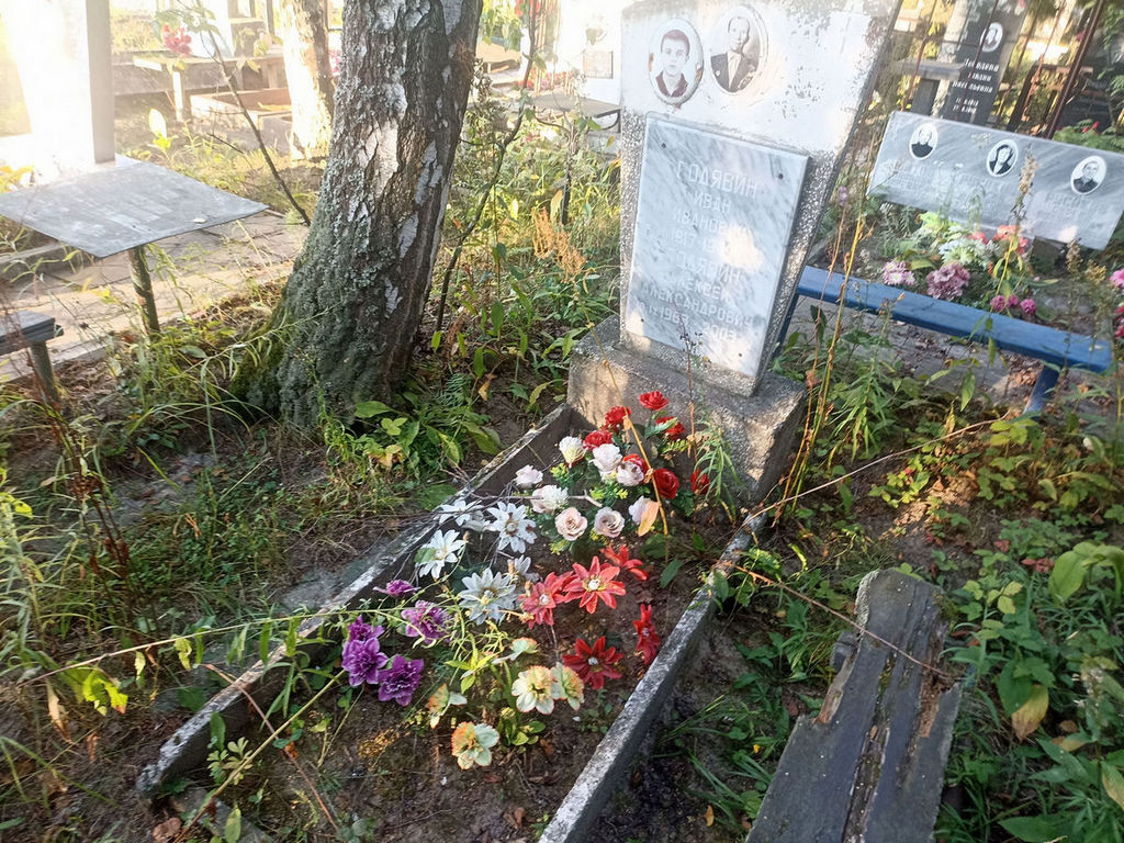 Годявин Алексей Александрович