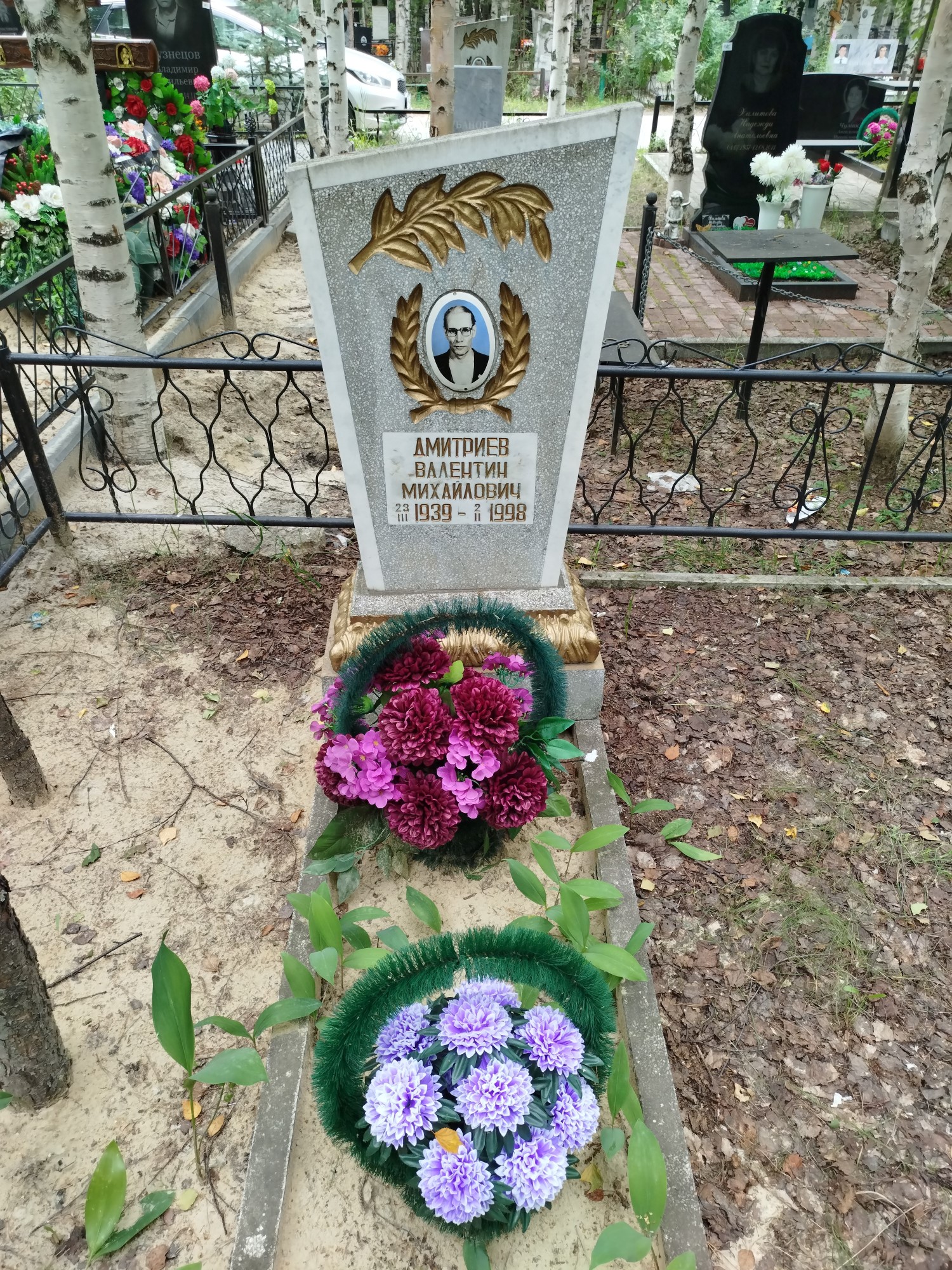 Дмитриев Валентин Михайлович