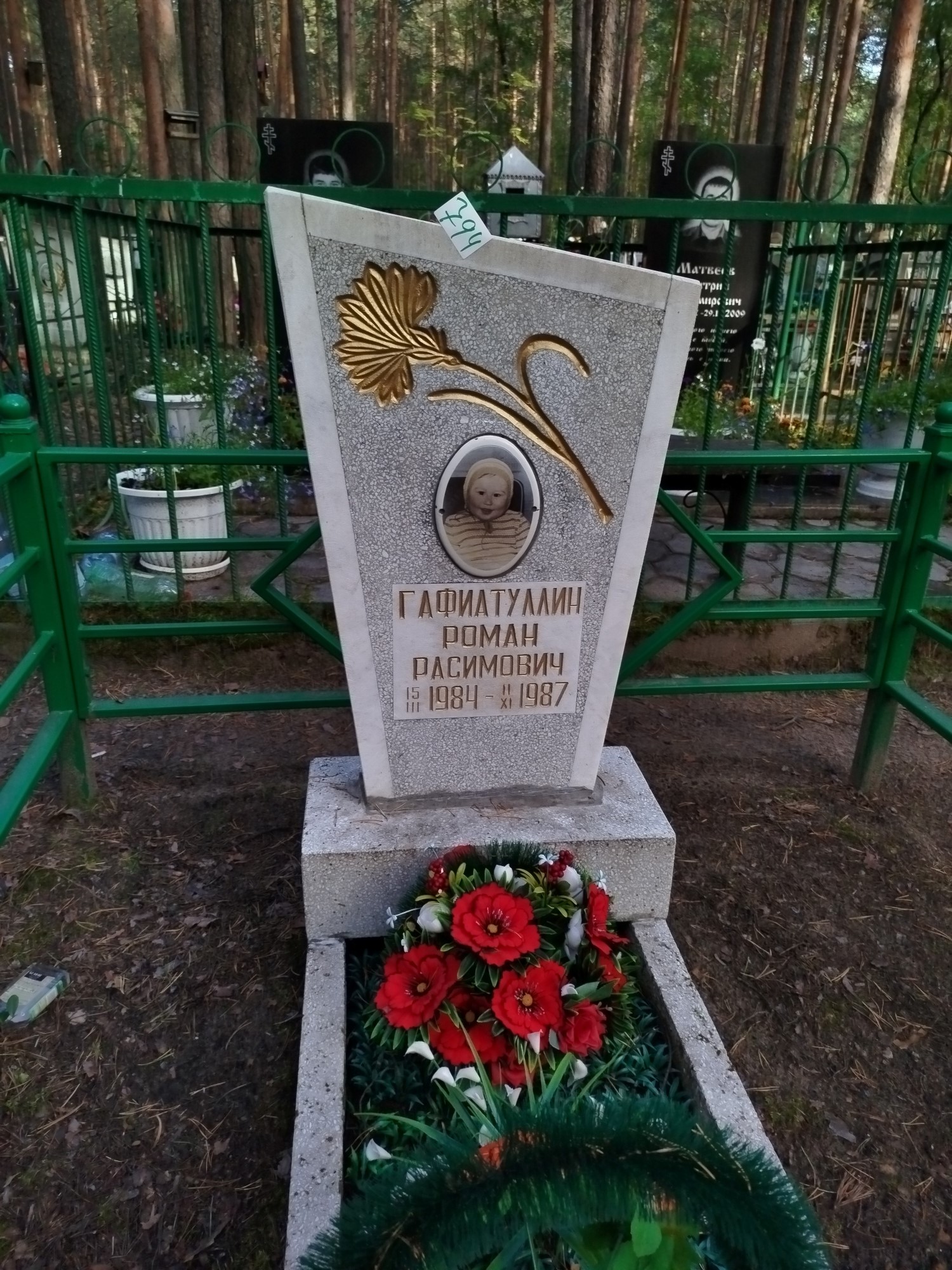 Гафиатуллин Роман Расимович