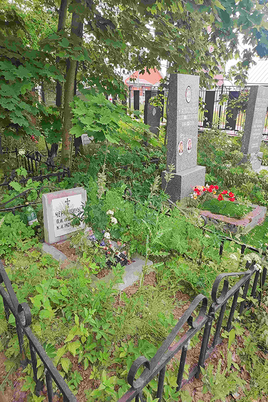 Черкашин Н. М.
