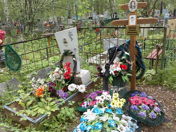 Лупынин Валерий Николаевич