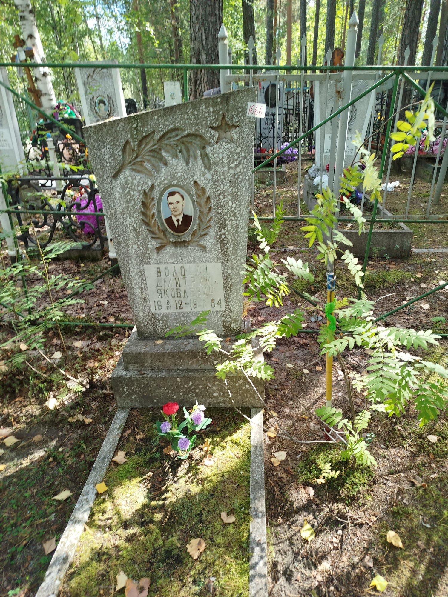 Володин Дмитрий Яковлевич