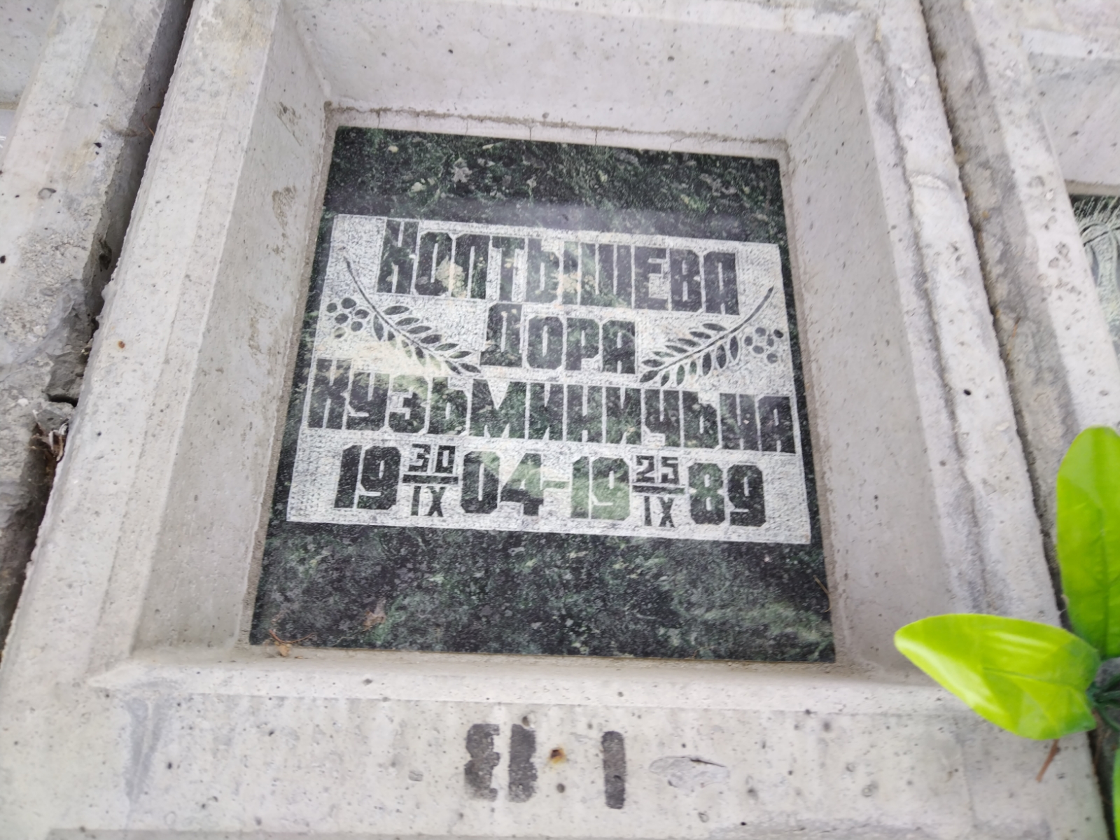 Колтышева Дора Кузьминична