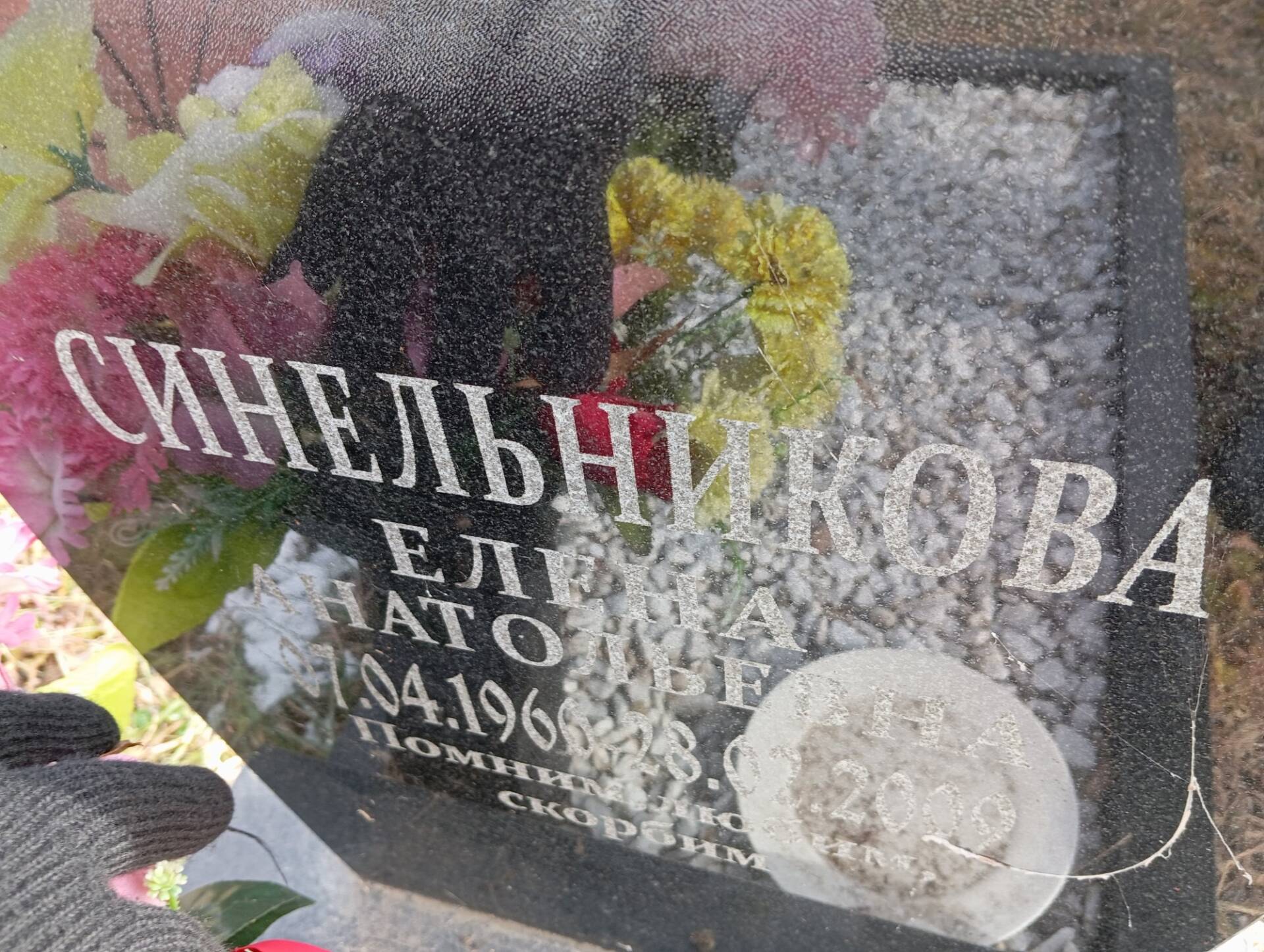 Синельникова Елена Анатольевна